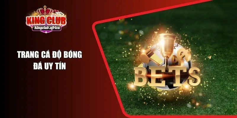 Trang Cá Độ Bóng Đá Uy Tín Tại Việt Nam Mới KINGCLUB Update