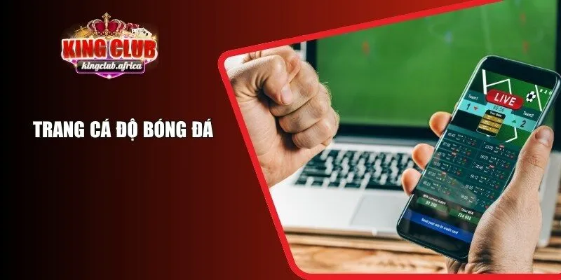 Trang Cá Độ Bóng Đá KINGCLUB – Địa Chỉ Cập Nhật Kèo Mỗi Ngày