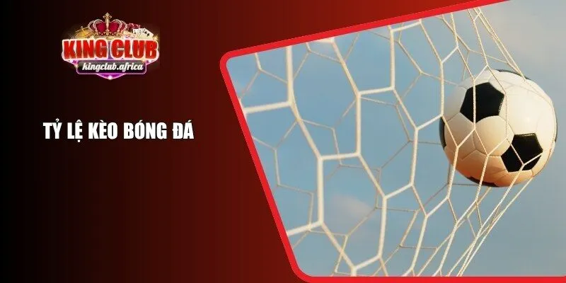 Tỷ Lệ Kèo Bóng Đá KINGCLUB Phân Tích Chuẩn Xác Cho Newbie